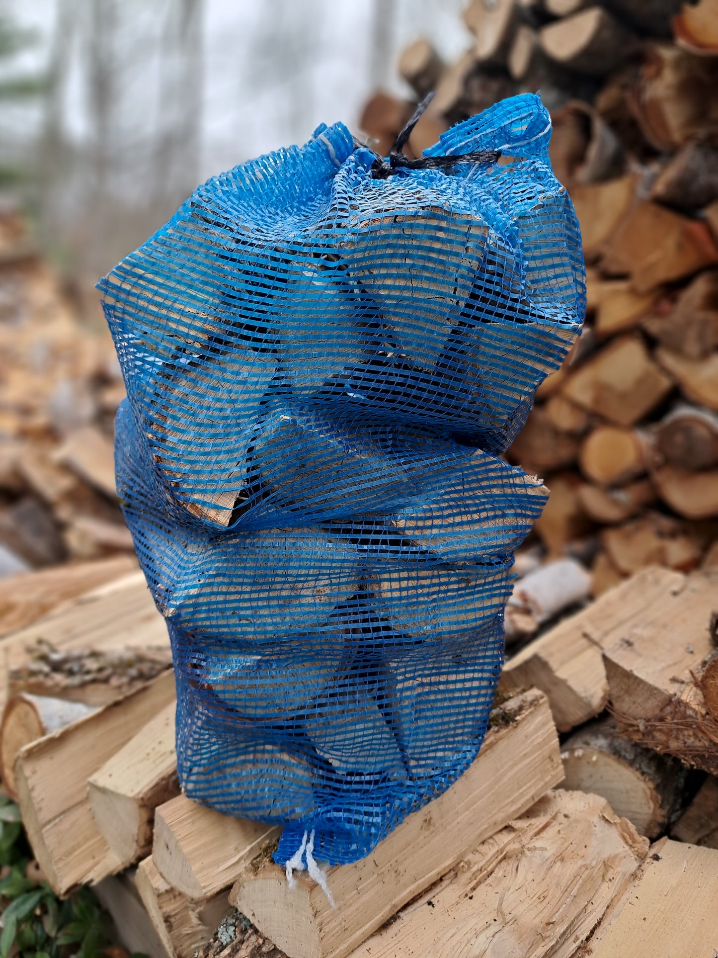 Premium 20x24 Mesh Firewood Bags (50 bags)