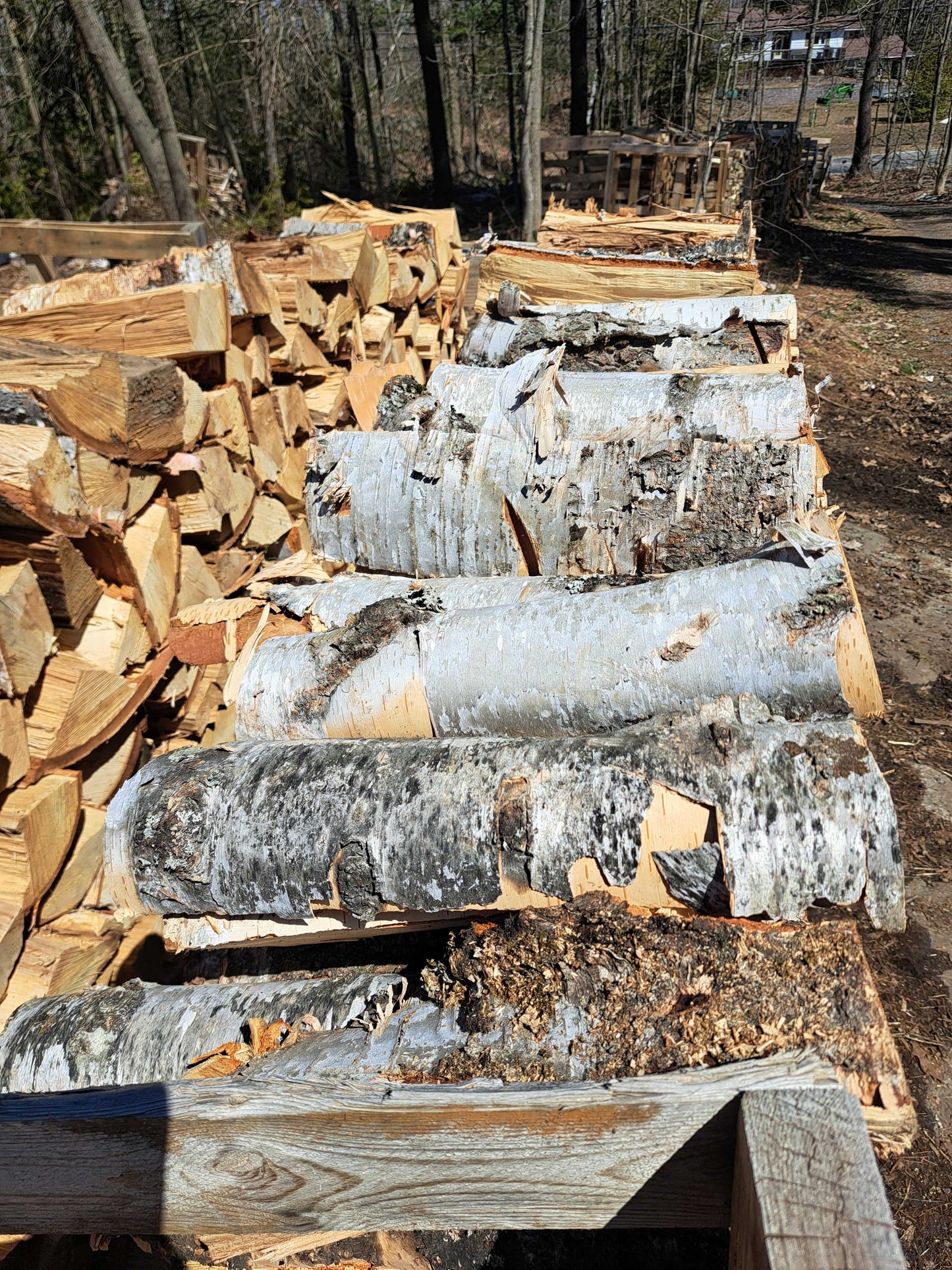 Firewood - Hardwood Facecords