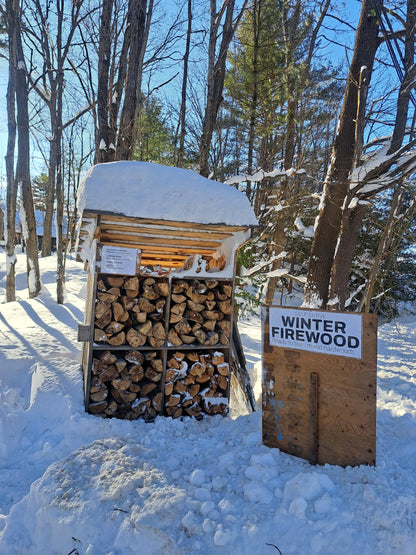 Campfire Wood